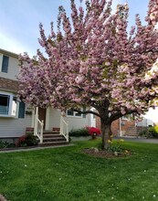 42 South St, Unit 2 in Madison, NJ - Building Photo - Building Photo