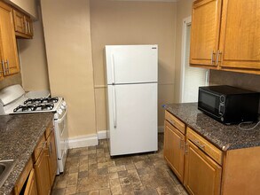 316 S Plain St in Ithaca, NY - Building Photo - Building Photo