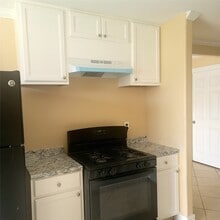 2010 Bunzel St in Houston, TX - Building Photo - Building Photo