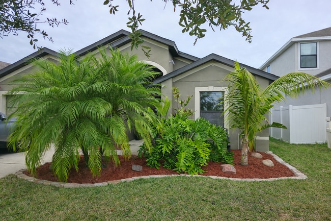 11808 Thicket Wood Dr in Riverview, FL - Building Photo - Building Photo