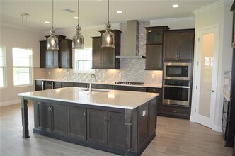 35482 Big Hawk Dr in Zephyrhills, FL - Building Photo - Building Photo