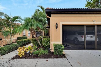 242 Shell Falls Dr in Apollo Beach, FL - Building Photo - Building Photo