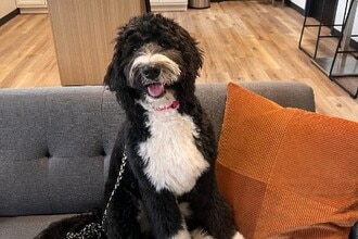 Victory On Leonard in Grand Rapids, MI - Building Photo - Building Photo