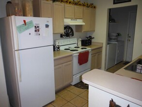 806 Sagewood Trail in San Marcos, TX - Building Photo - Building Photo