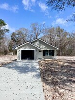 151 Arabian Ln in Jesup, GA - Building Photo