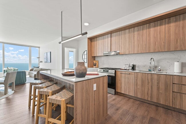 1000 S Michigan Ave in Chicago, IL - Building Photo - Building Photo