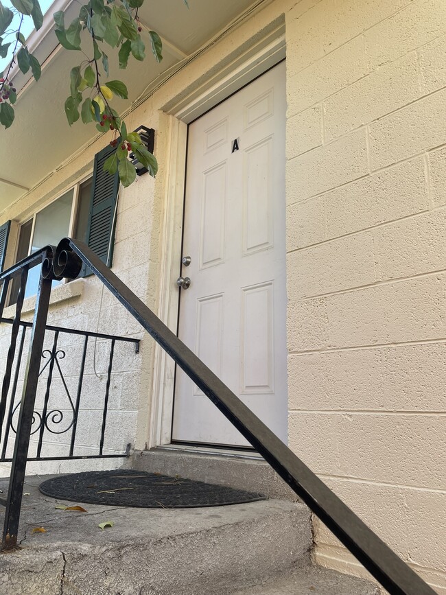 521 N Corona St, Unit 521 N Corona St Apt. A in Denver, CO - Building Photo - Building Photo