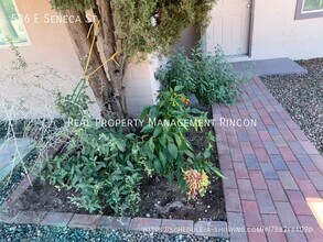 536 E Seneca St in Tucson, AZ - Building Photo - Building Photo