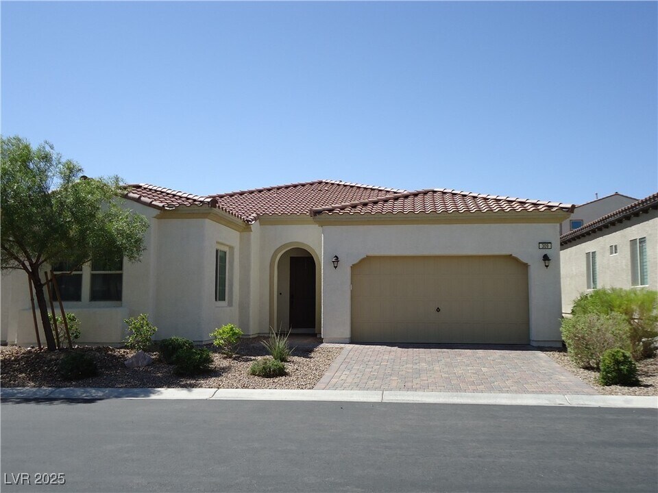 309 Dandelion Brook Ct in Las Vegas, NV - Building Photo