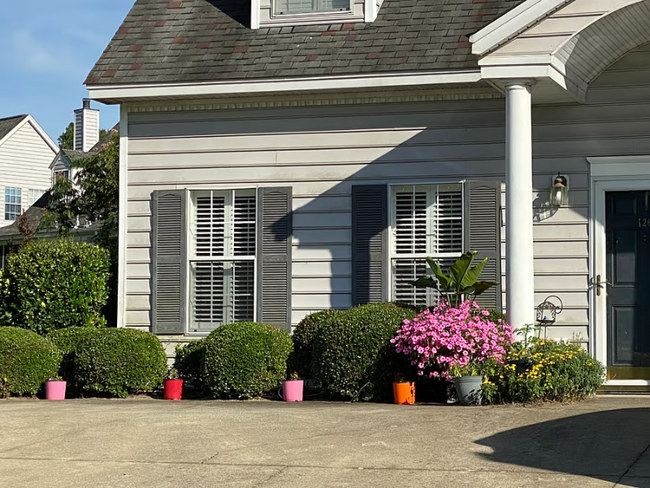 property at 126 Saddle Chase Ln