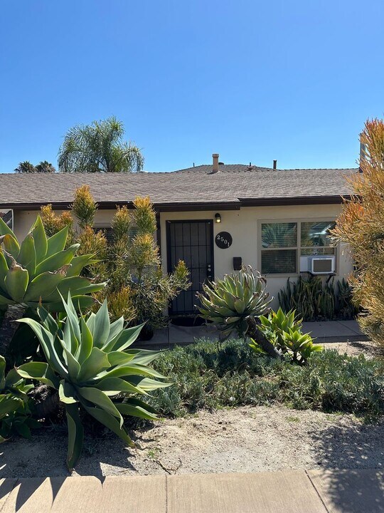 2501-2505 Juan St in San Diego, CA - Building Photo