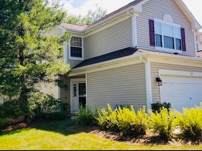 124 Polaris Dr in Lake In The Hills, IL - Foto de edificio - Building Photo