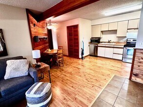 549 Rainbow Dr in Silverthorne, CO - Building Photo - Building Photo