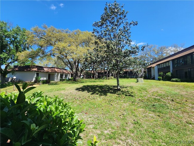 2400 Forest Dr in Inverness, FL - Foto de edificio - Building Photo