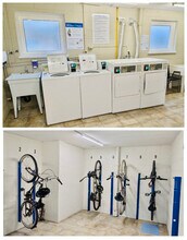 341 Kathleen Av in Sarnia, ON - Building Photo - Building Photo