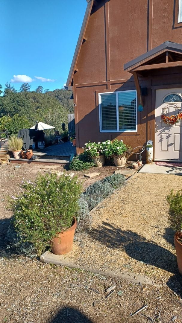 465 Dorothy Ln in Arroyo Grande, CA - Building Photo - Building Photo
