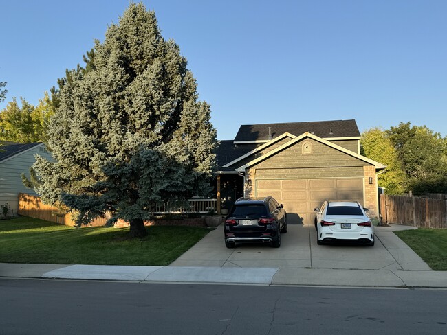 1311 Walden Ct in Longmont, CO - Foto de edificio - Building Photo