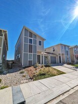 4175 Jericho Loop in Colorado Springs, CO - Building Photo