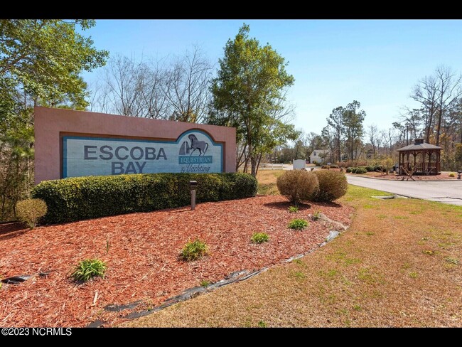 219 Derby Downs Dr in Sneads Ferry, NC - Building Photo - Building Photo