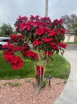 16964 Millstone Dr, Unit Mater room -Private bath in La Puente, CA - Building Photo