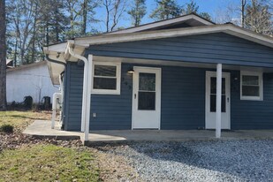 293 Cosmos Dr in Hendersonville, NC - Building Photo
