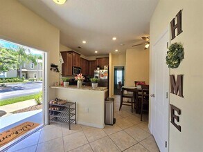 31142 Gossamer Way in Wesley Chapel, FL - Building Photo - Building Photo