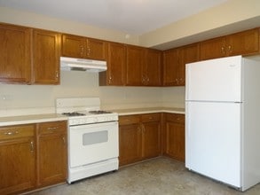 26316 W Cricket Ct in Channahon, IL - Building Photo - Building Photo