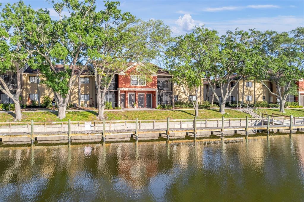 5684 Baywater Dr in Tampa, FL - Building Photo