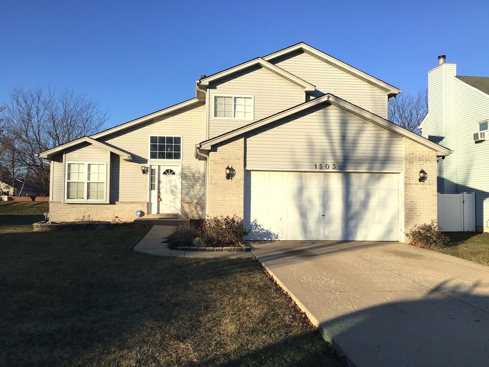 1503 Dale Cir in Plainfield, IL - Building Photo