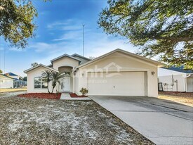 10536 Juliano Dr in Riverview, FL - Building Photo