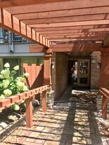 6020 Oakwood Dr in Lisle, IL - Building Photo