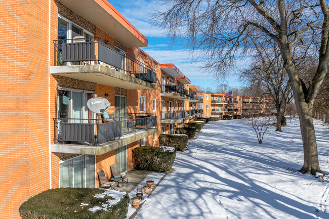 Cameo Condominiums in Homewood, IL - Building Photo - Building Photo