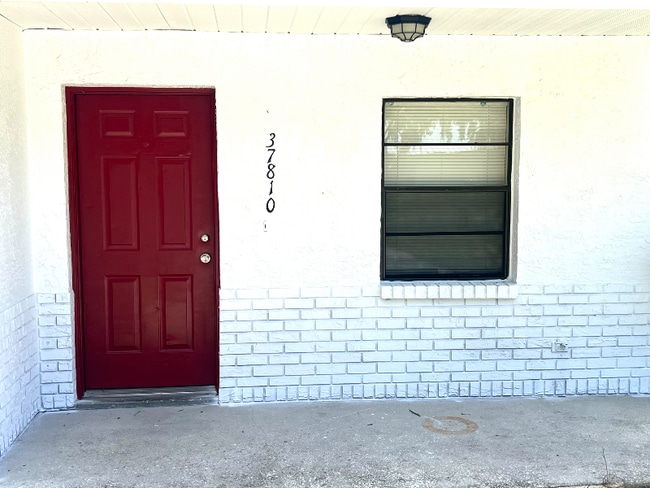 37812 15th Ave in Zephyrhills, FL - Building Photo - Building Photo