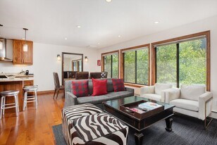 725 E Main St in Aspen, CO - Building Photo