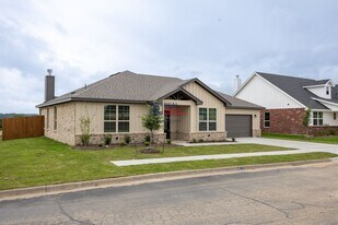 101 Mesa Dr in Glen Rose, TX - Building Photo