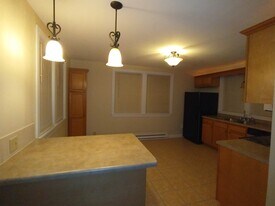 204 E. Peru St, Unit 1 Bedroom Apartment in Princeton, IL - Building Photo