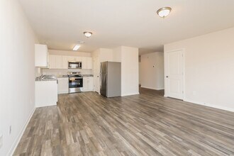 14208 Harlequin Dr in Willis, TX - Foto de edificio - Building Photo