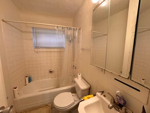 102 N Lincoln Ave in Urbana, IL - Building Photo - Building Photo