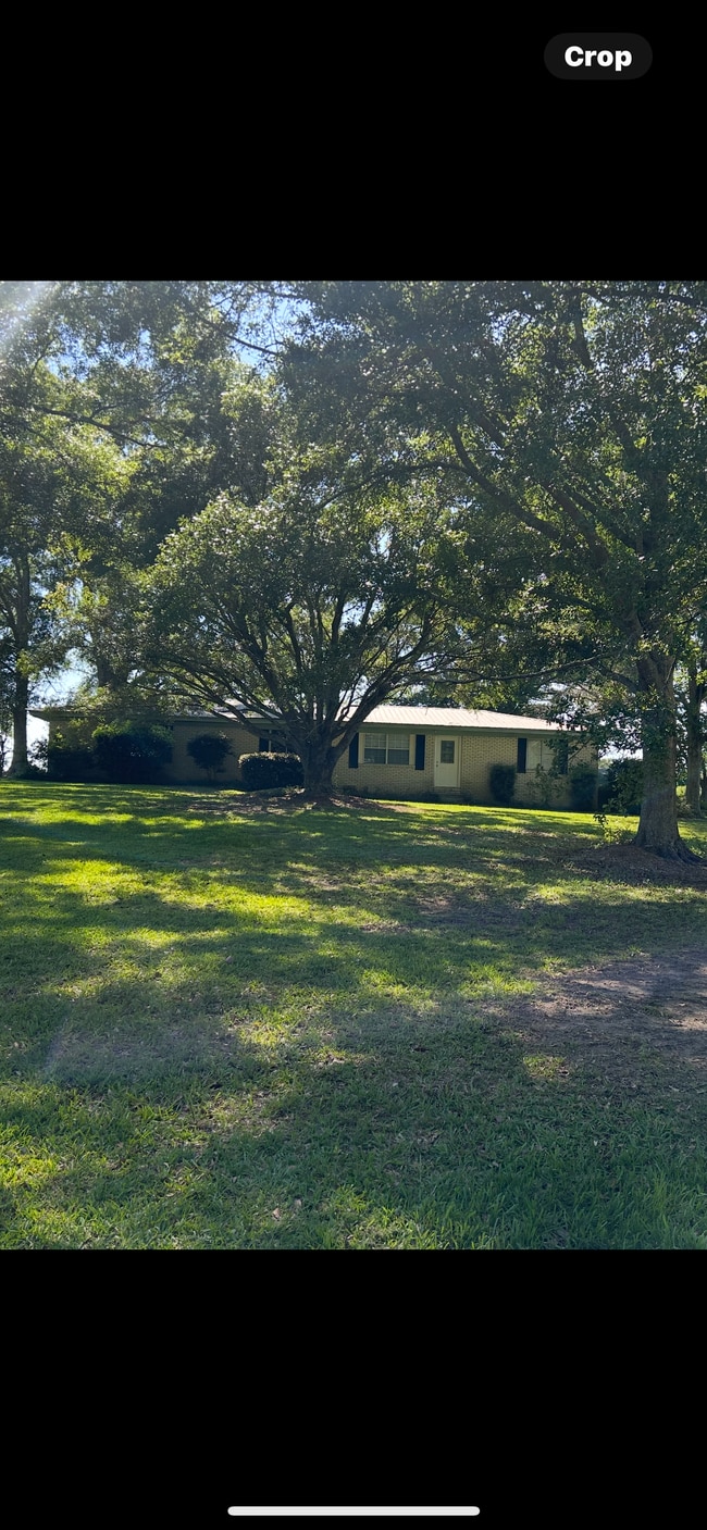 property at 393 Niemeyer Rd