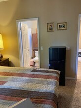 26256 Palm Tree Ln in Murrieta, CA - Building Photo - Building Photo