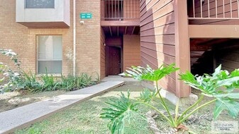 4601 Carmen Ave in Rancho Viejo, TX - Building Photo