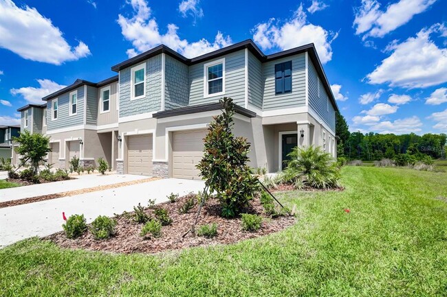 17659 Nectar Flume Dr in Land O Lakes, FL - Building Photo - Building Photo