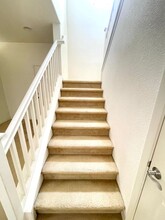 2723 Bertolani Cir in Elk Grove, CA - Building Photo - Building Photo