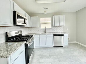 10422 Iris Lake Ct in Houston, TX - Building Photo - Building Photo