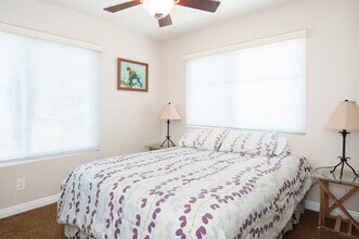 1574 Lorraine Dr in Encinitas, CA - Building Photo - Building Photo