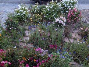 138 Viewmont Ave in Vallejo, CA - Foto de edificio - Building Photo