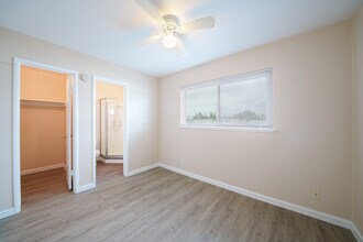 Interior Photo