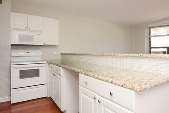 448 W Wellington Ave in Chicago, IL - Building Photo - Building Photo