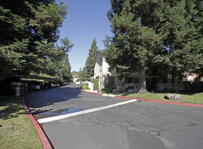 Canyon Oaks Apartments in Orangevale, CA - Building Photo - Building Photo