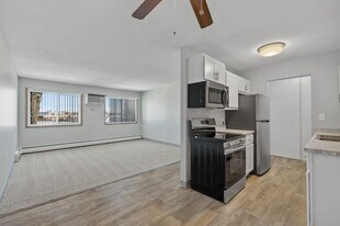 109th Place Apartments in Coon Rapids, MN - Building Photo